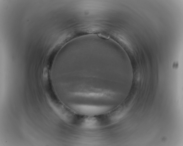 X0000091920214200709051447