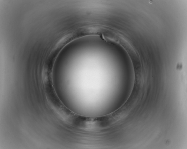 X0000091920216200709051447