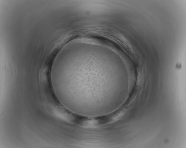 X0000091920217200709051447