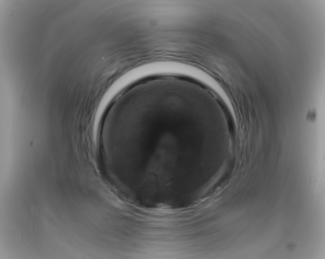 X0000091920219200709051447
