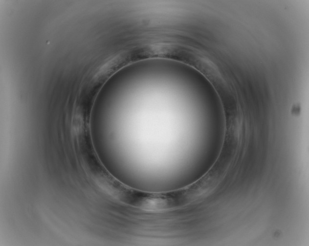 X0000091920220200709051447