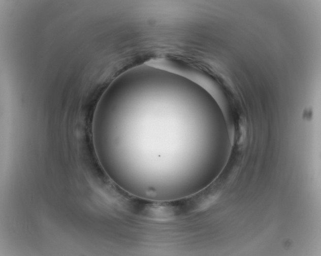 X0000091920221200709051447