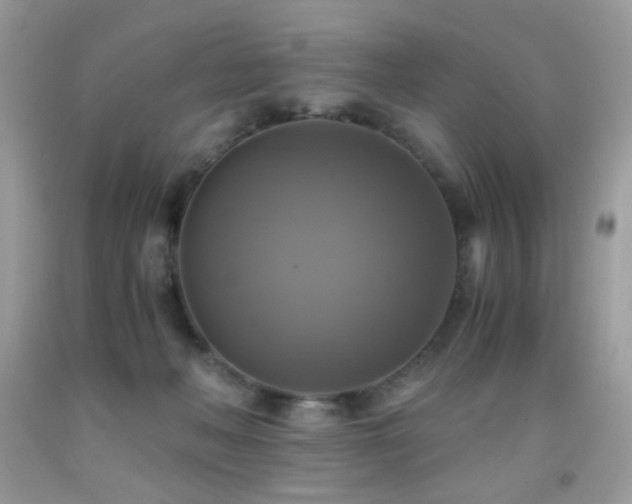 X0000091920222200709051447
