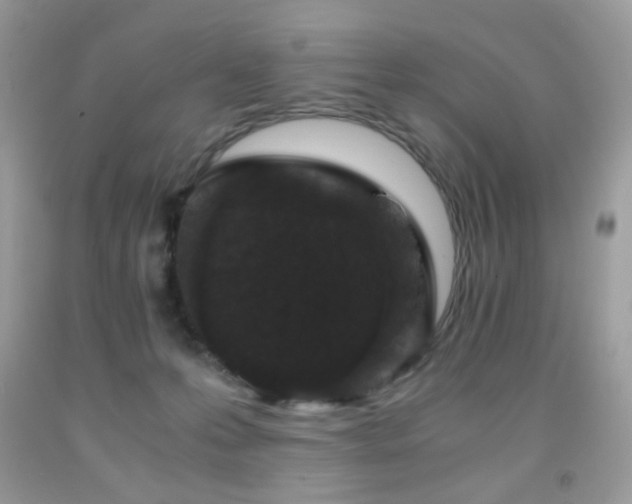 X0000091920223200709051447