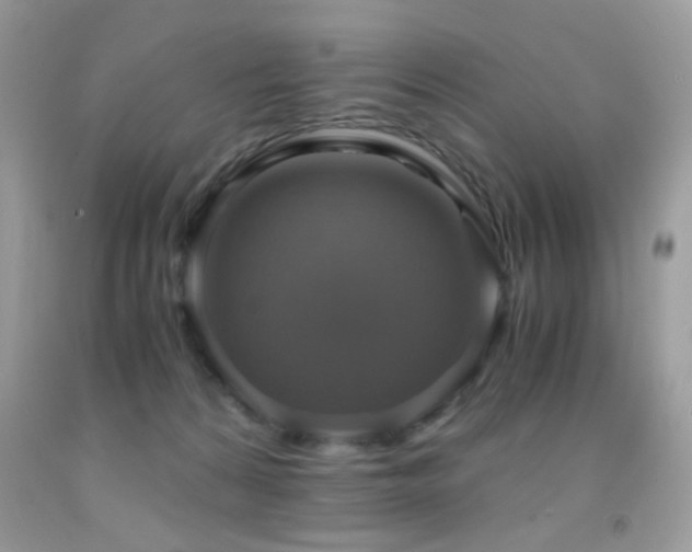 X0000091920224200709051447