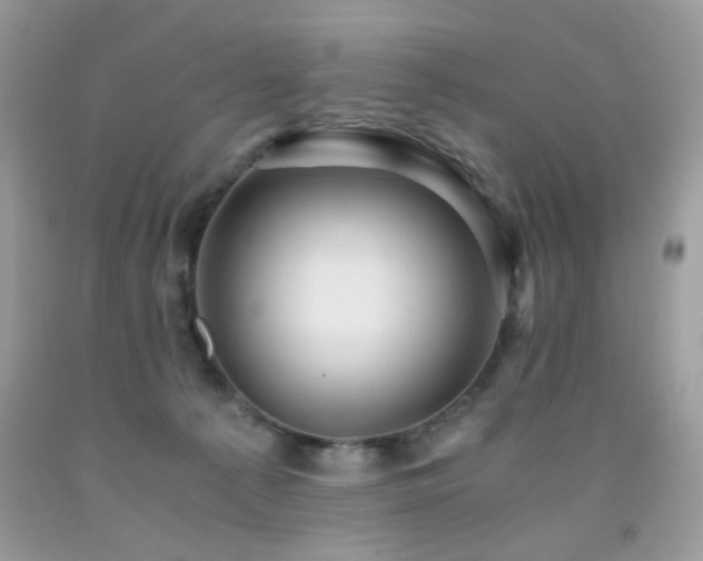 X0000091920225200709051447