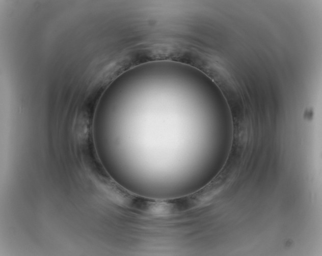 X0000091920226200709051447
