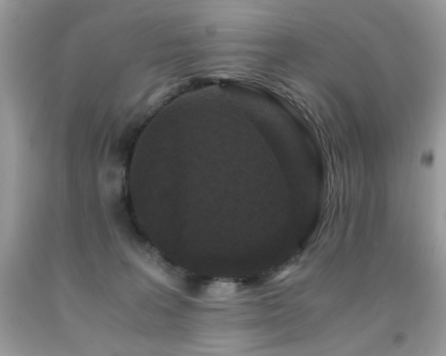 X0000091920227200709051447