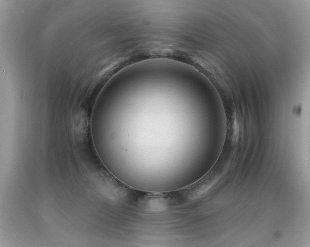 X0000091920228200709051447