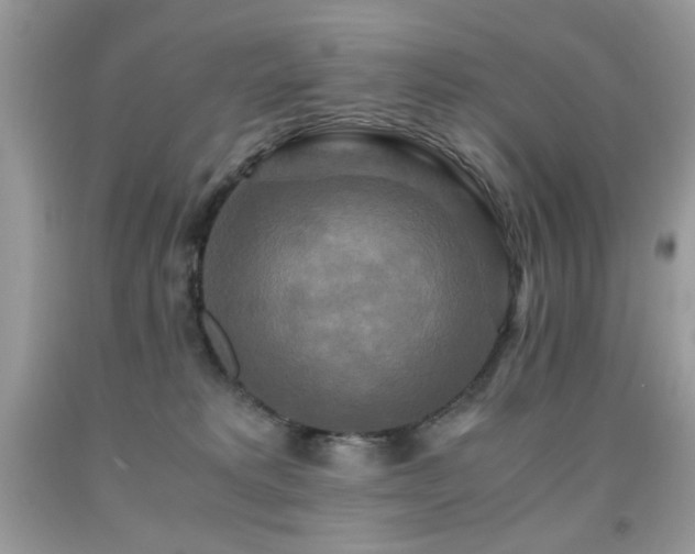 X0000091920229200709051447