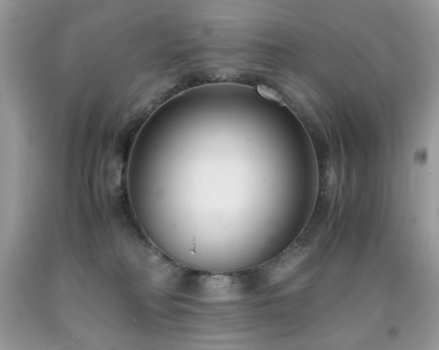 X0000091920230200709051447