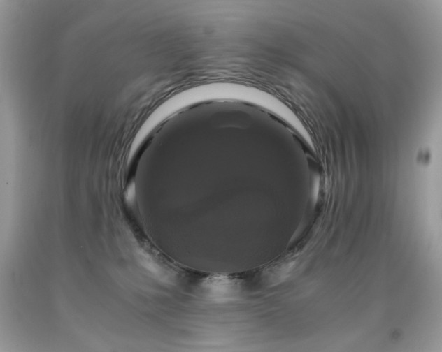 X0000091920231200709051447