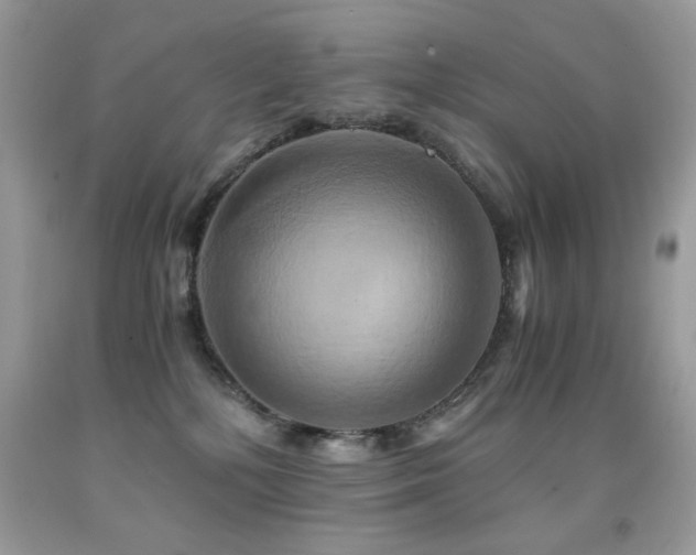 X0000091920232200709051447