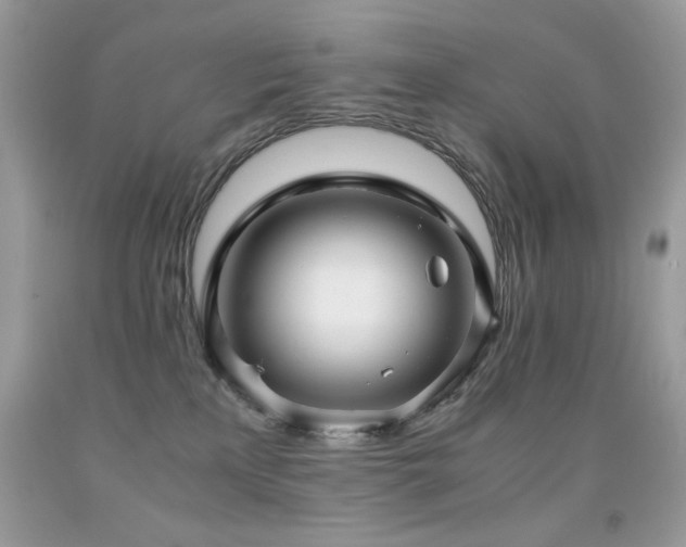 X0000091920233200709051447