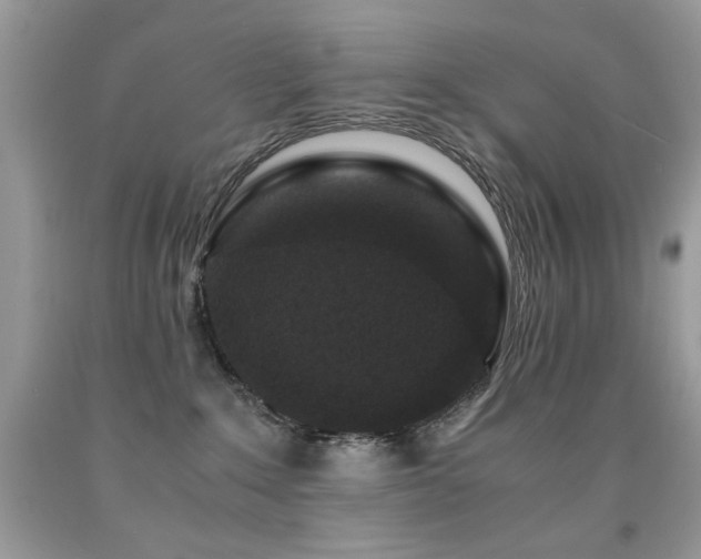 X0000091920235200709051447