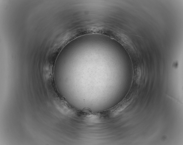 X0000091920236200709051447