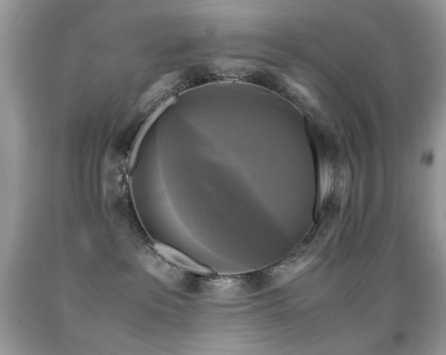 X0000091920237200709051447