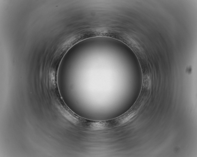 X0000091920238200709051447