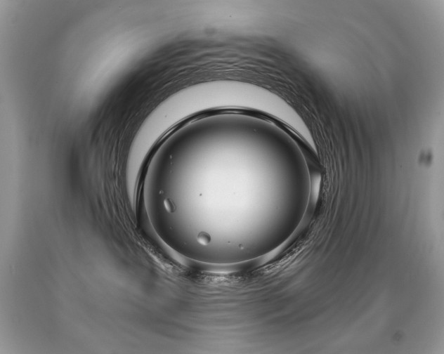 X0000091920239200709051447