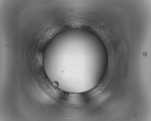 X0000091920240200709051447