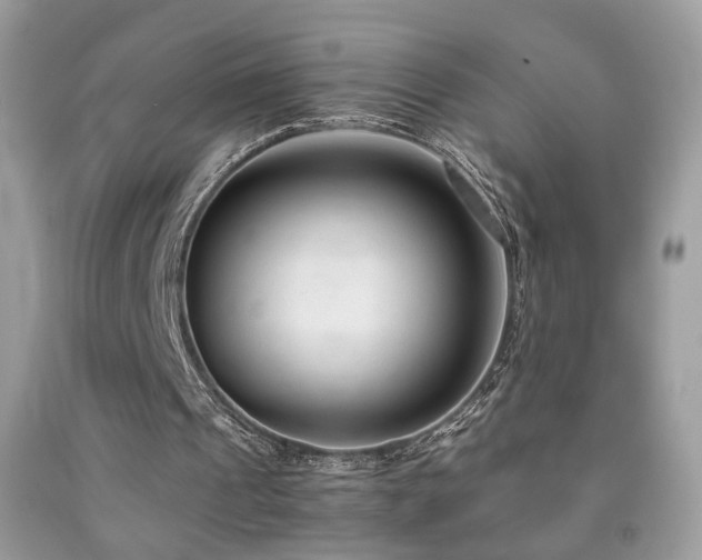 X0000091920241200709051446