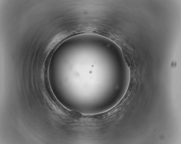 X0000091920242200709051446
