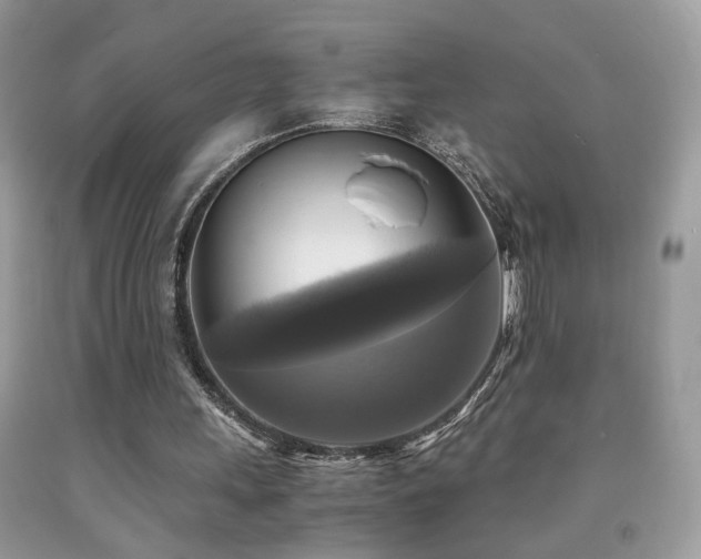 X0000091920243200709051446