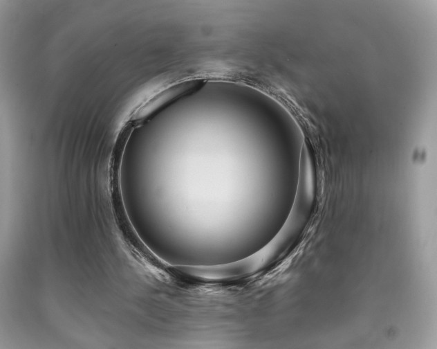 X0000091920244200709051446