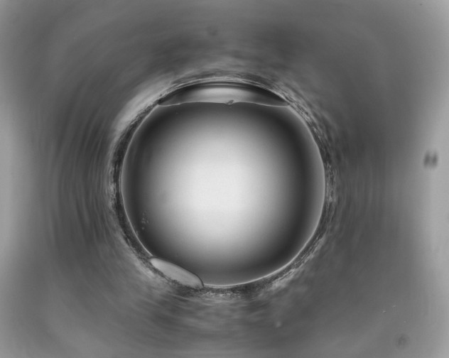 X0000091920245200709051446