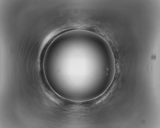 X0000091920246200709051446