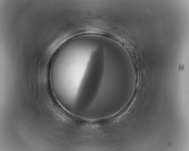 X0000091920247200709051446