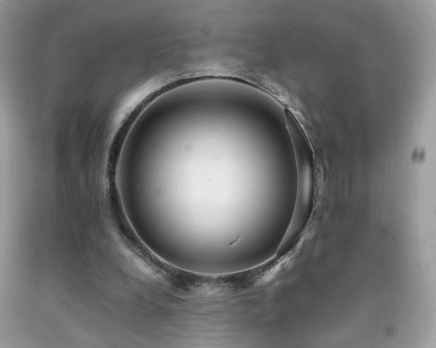 X0000091920248200709051446