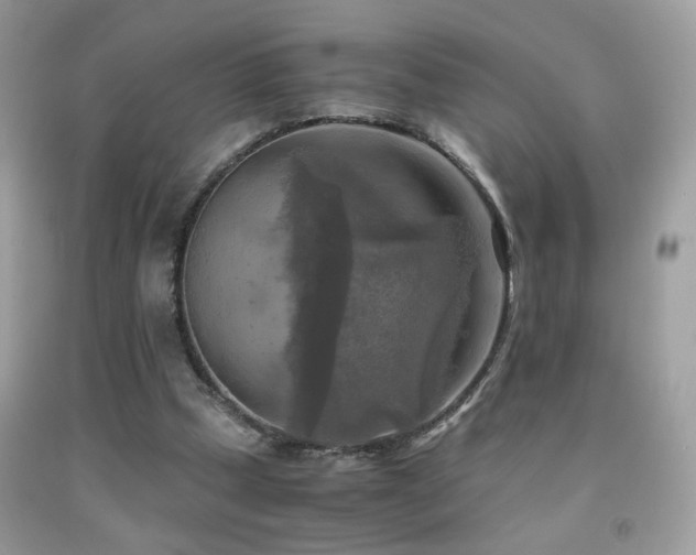X0000091920249200709051446