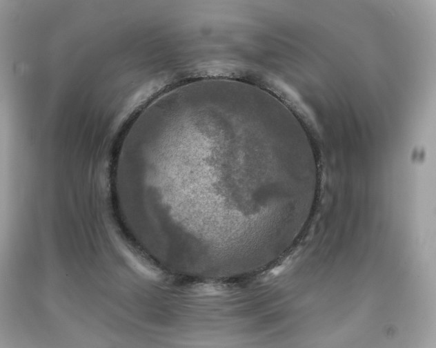 X0000091920250200709051446