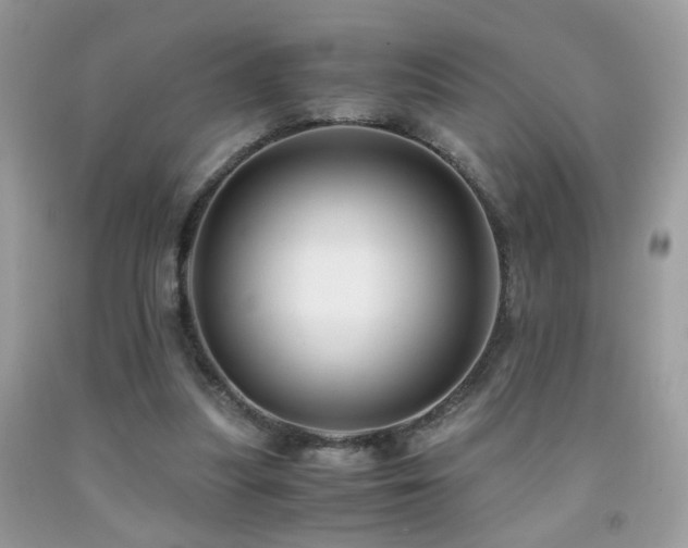X0000091920251200709051446