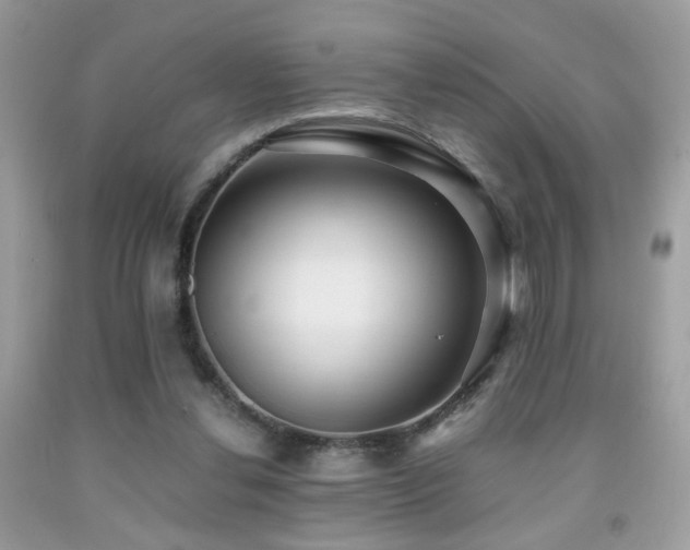 X0000091920252200709051446
