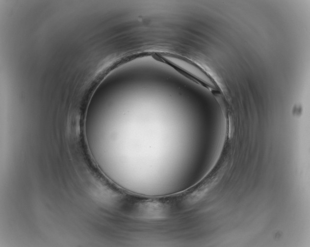 X0000091920253200709051446