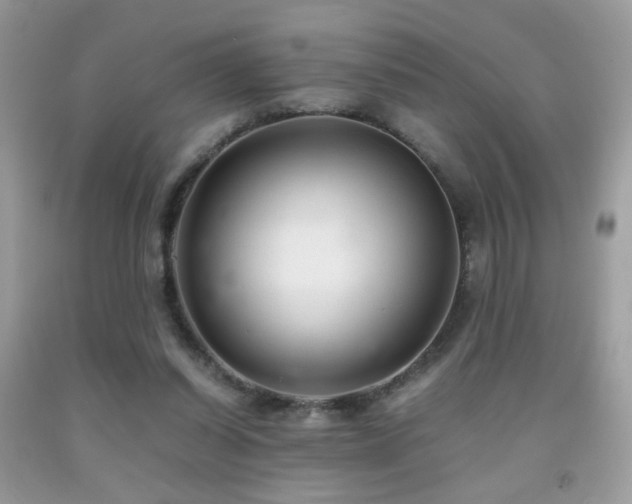 X0000091920254200709051446