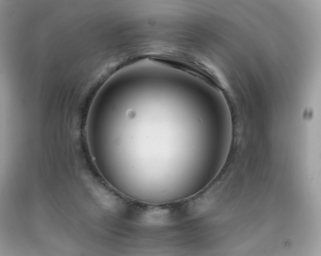 X0000091920257200709051446