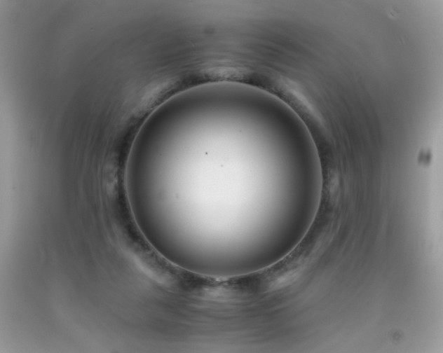 X0000091920259200709051446
