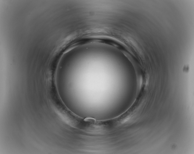 X0000091920260200709051446
