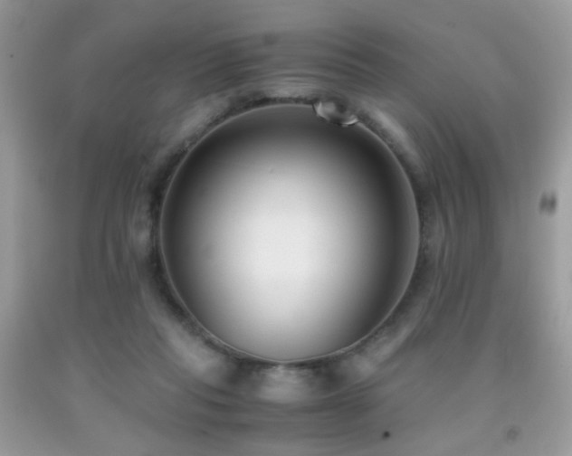 X0000091920261200709051446