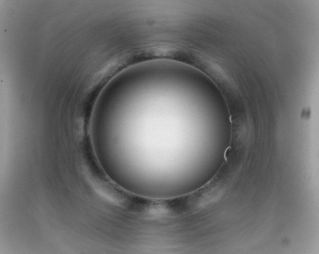 X0000091920262200709051446