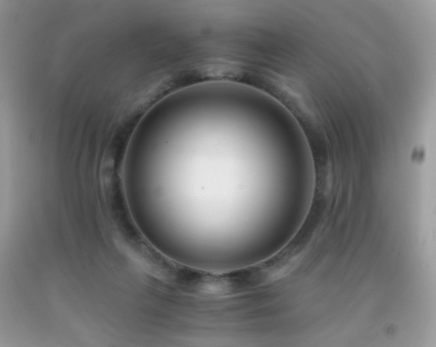 X0000091920263200709051446