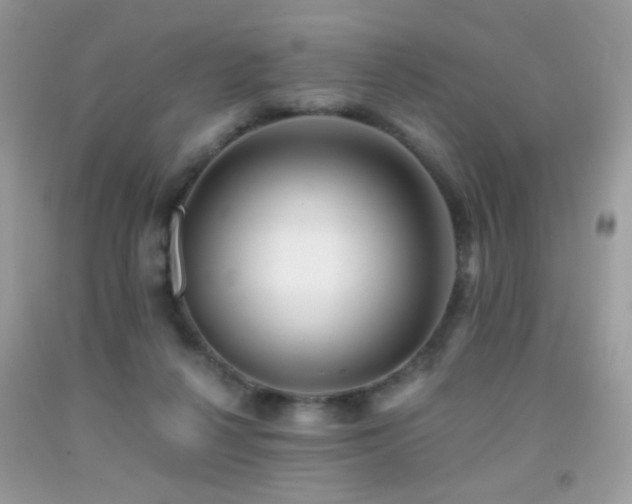 X0000091920264200709051446