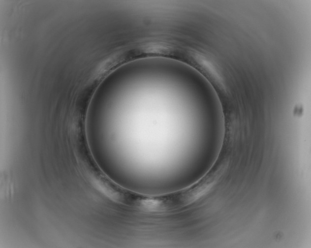X0000091920265200709051447