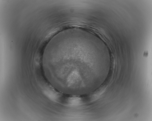X0000091920266200709051447