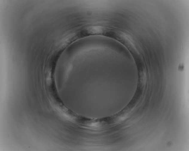 X0000091920267200709051447