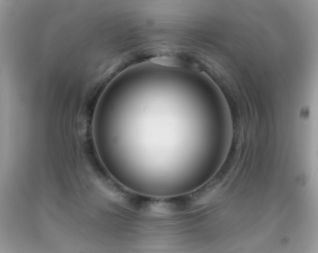 X0000091920268200709051447
