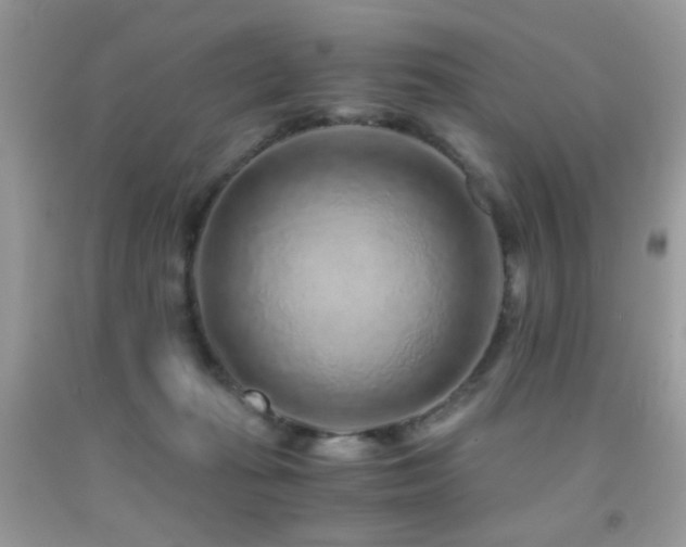 X0000091920269200709051447